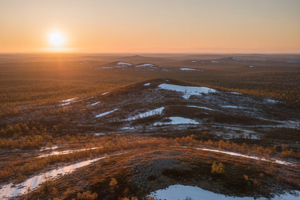 Lappi