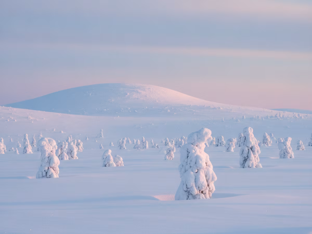 Levin talviseikkailu — huskyt, revontulet ja tunturin huippu