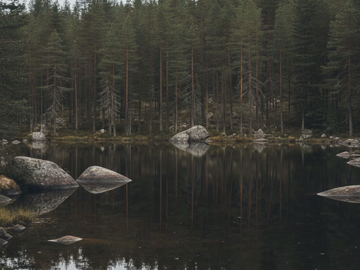 Nuuksion erakkoviikonloppu — metsän hiljaisuus tunnin päässä Helsingistä